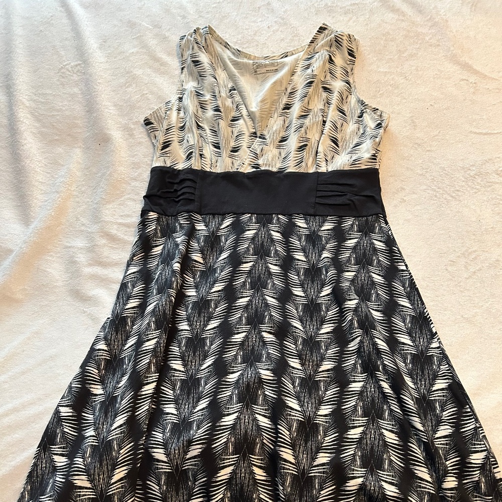 Women’s Patagonia Dress